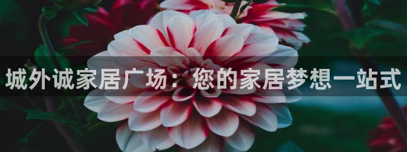 ug环球国际买分