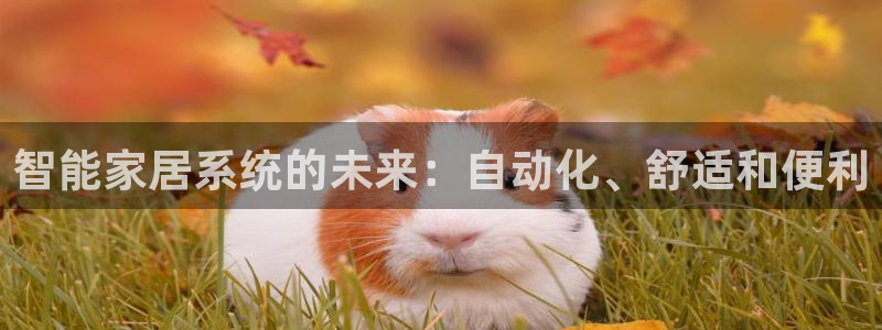 ug环球网