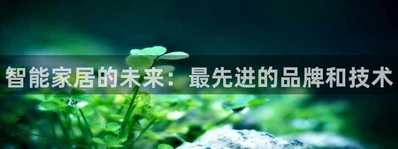 ug环球正网开户