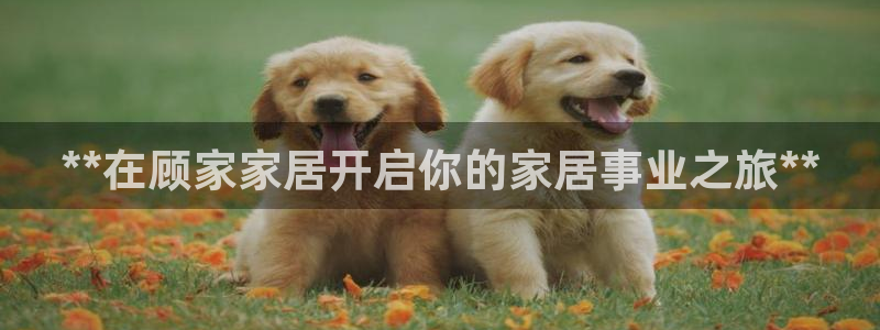 ug环球代理平台官网