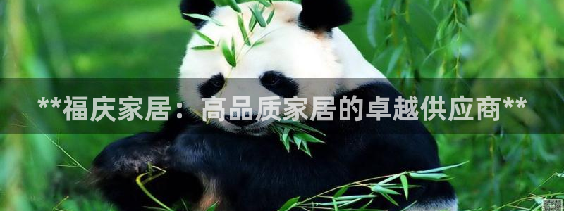 ug环球官网代理