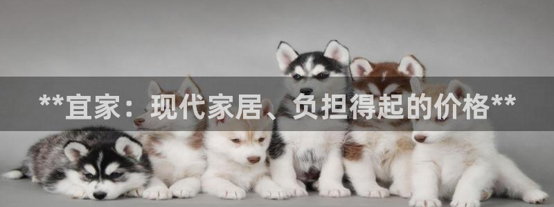 Ug环球私网一比一
