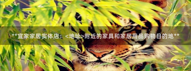 ug环球国际