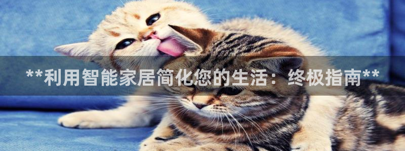 ug环球官网在线