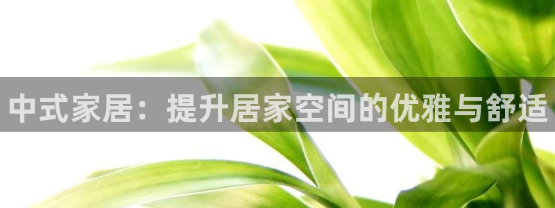 ug环球会员网站登录