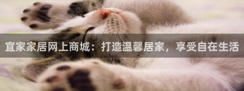 ug环球密码重置是多少位数啊