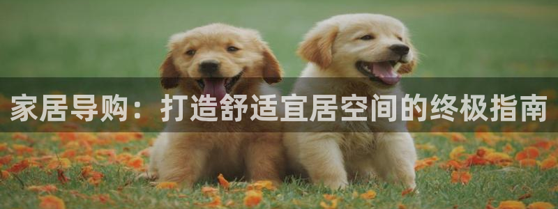 ug环球信用盘