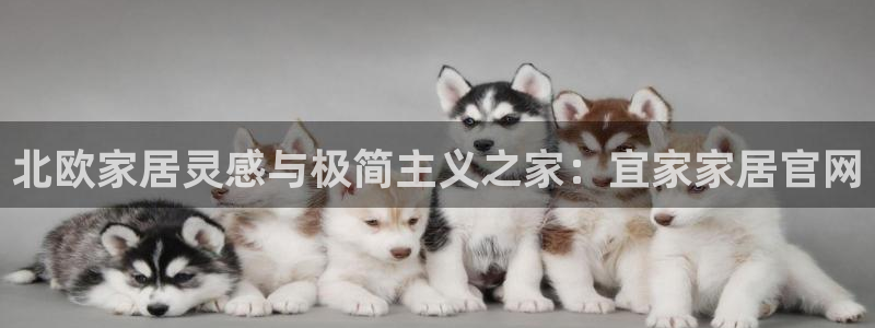 ug环球官网会员