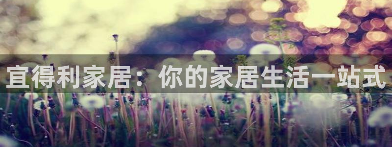 ug环球官网入口