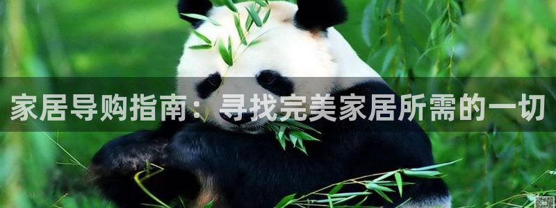 ug环球信用盘