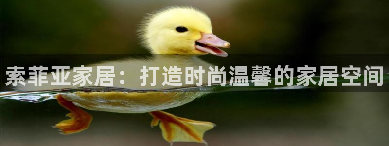 ug环球360官网