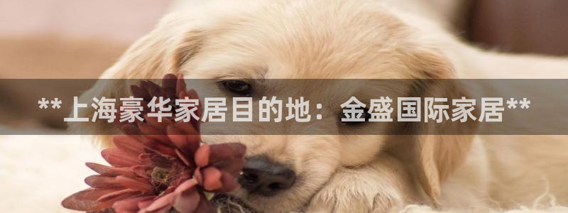 uG环球网站