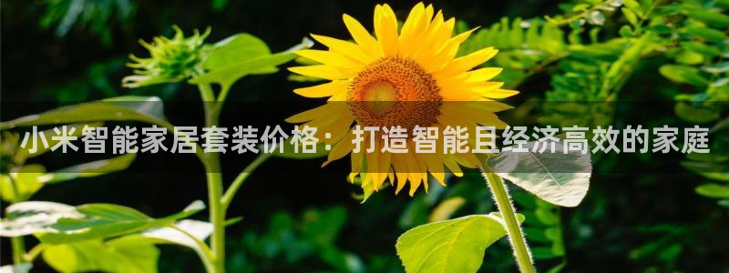 ug环球代理合作