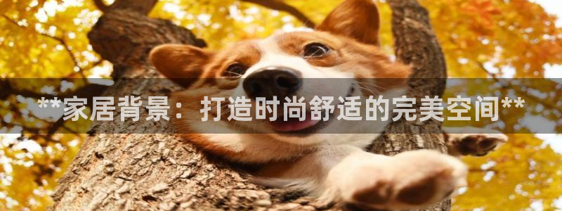 ug环球360代理