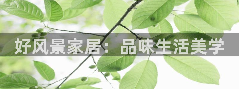 UG环球代理