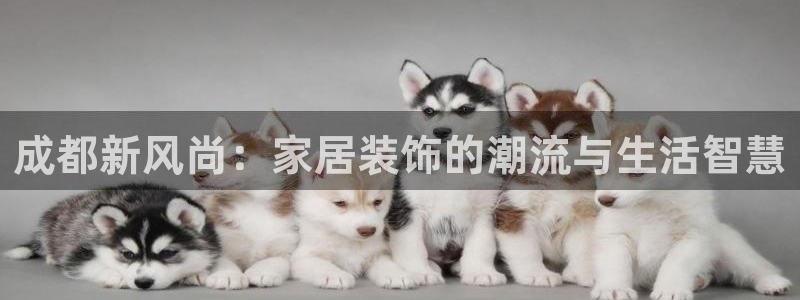 ug环球官网开户