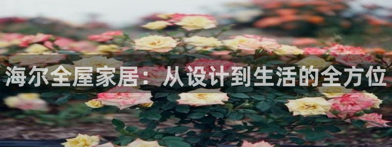 ug环球官网合作