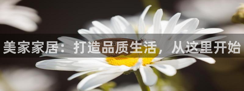 ug环球假网一比一