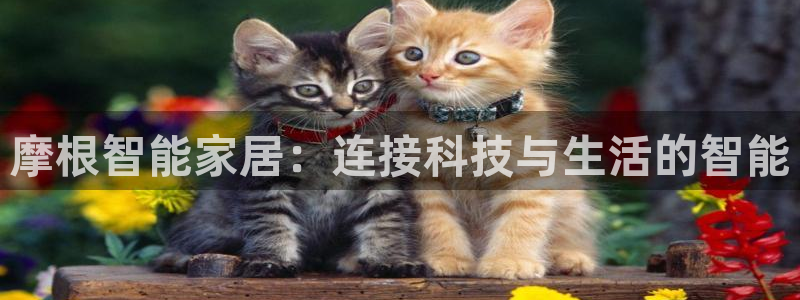 ug环球网站：摩根智能家居：连接科技与生
