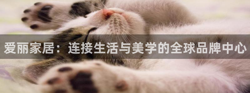 UG环球假线一比一