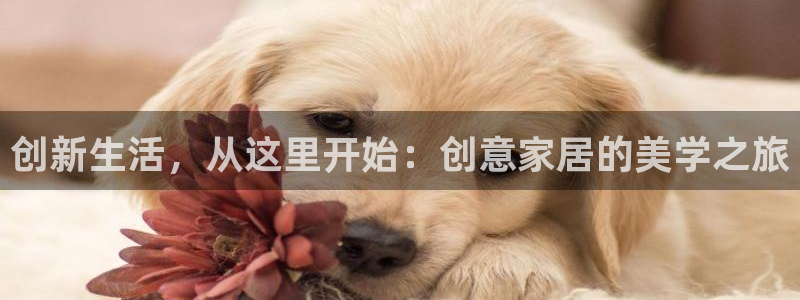 ug环球买分卖分