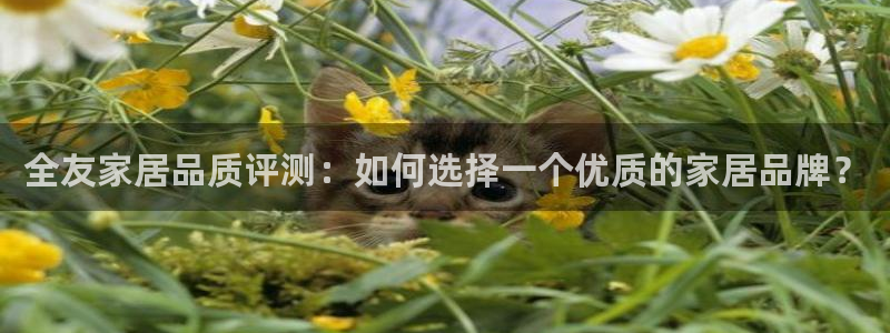 ug环球会员登陆
