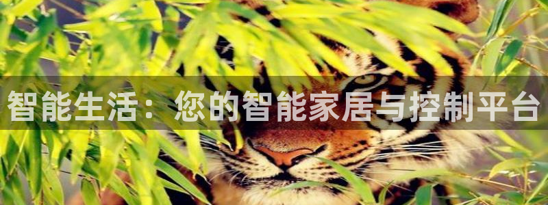 ug环球360代理