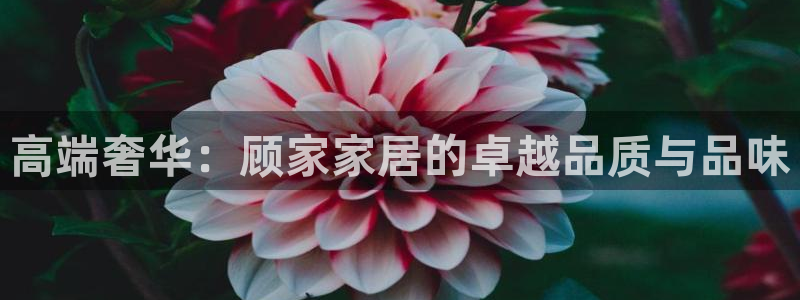 ug环球代理合作