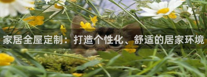 环球ug包杀网一比一