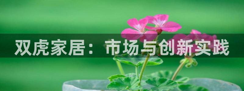 ug环球密码重置是多少位数