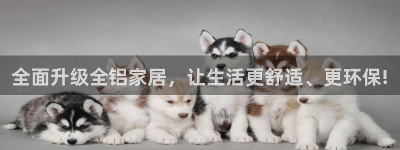 ug环球游戏网站