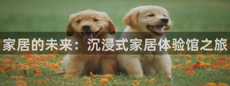 ug环球在线登录