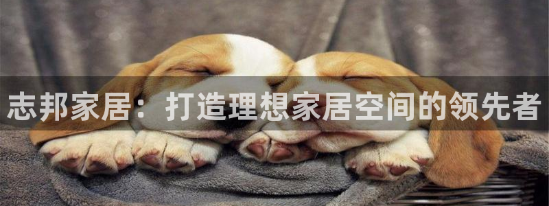 ug环球会员开户