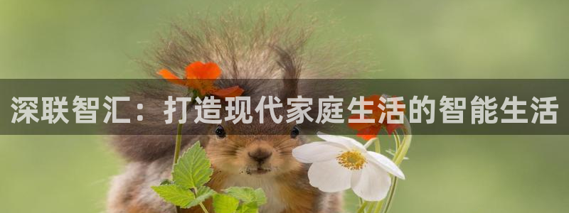 UG环球会员官方