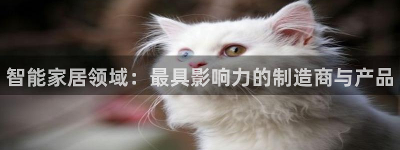 UG环球国际在线