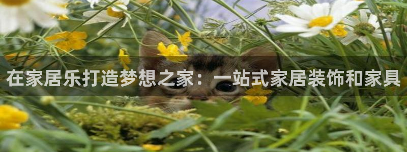 ug环球视讯手机版官网