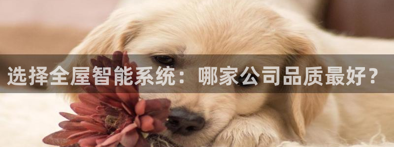 ug环球xkk908搜徽