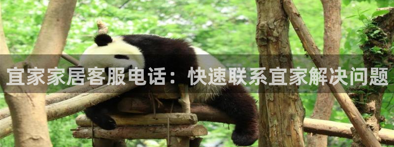 ug环球官网注册会员