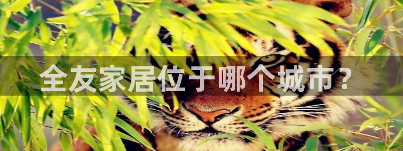 ug环球会员充值