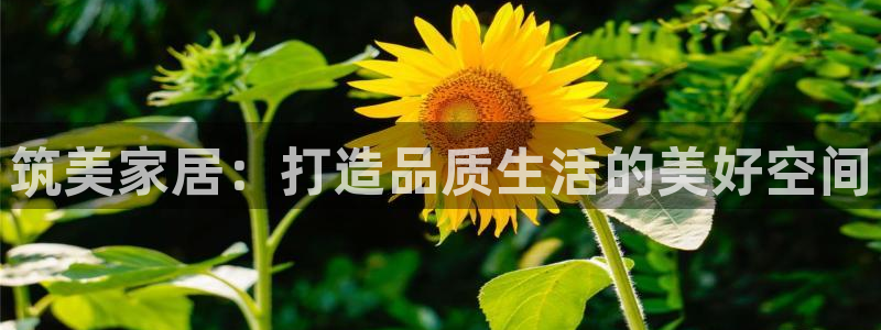 ug环球密码重置是多少位数啊