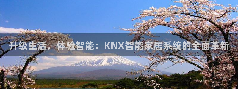 ug环球官网会员