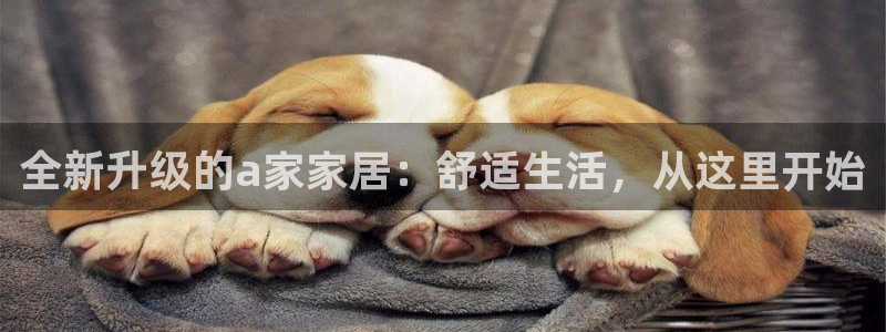 ug环球会员开户