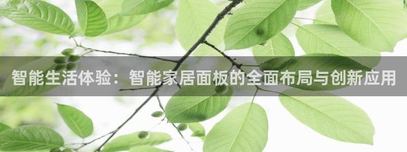ug环球官网会员注册