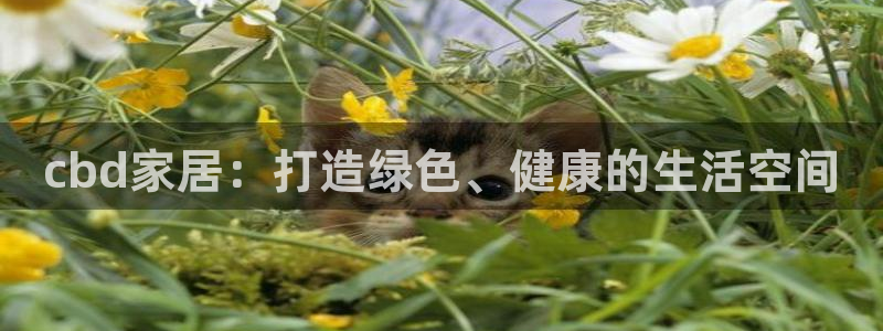 ug环球注册会员