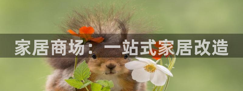 ug环球在线注册