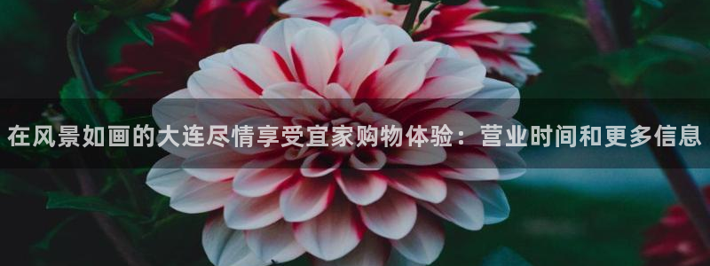 ug环球会员手机版下载