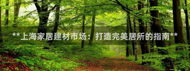 ug环球视讯：**上海家居建材市场：打造