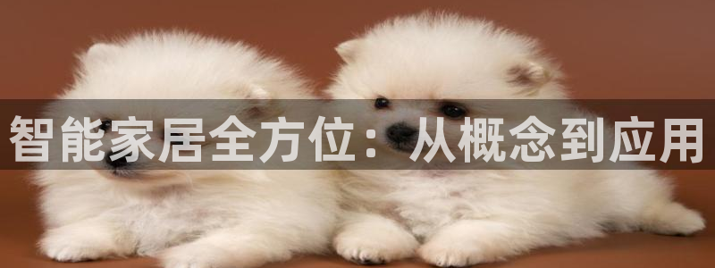 ug环球官网会员登录