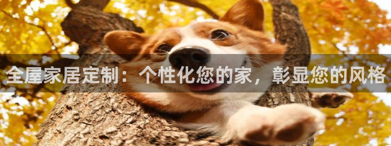 ug环球官网会员登录