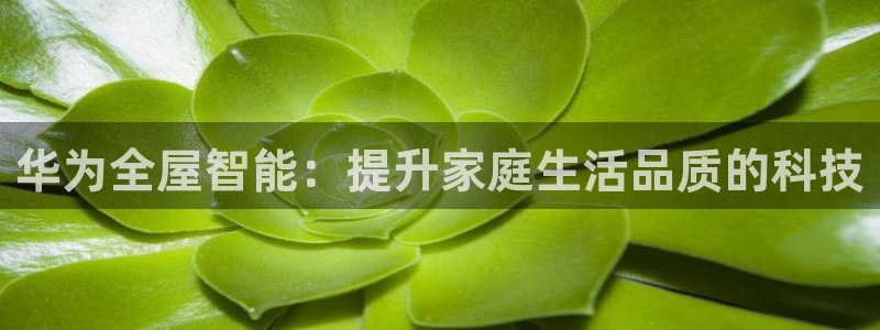 ug环球注册会员